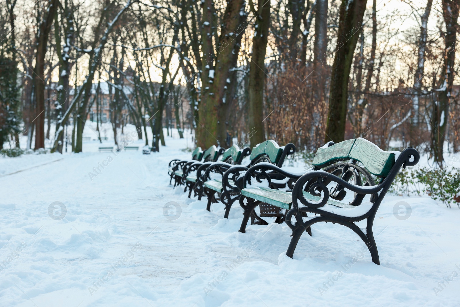 Photo of Green benches and trees in snowy park