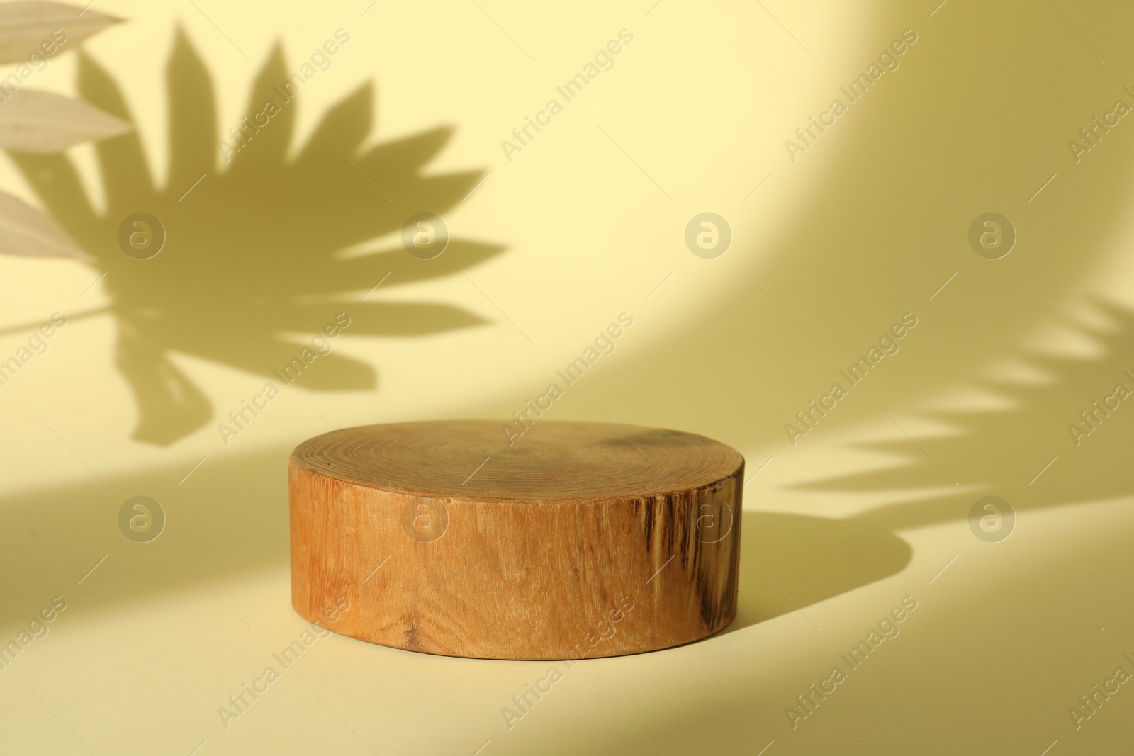 Photo of Presentation of product. Wooden podium on yellow background. Space for text