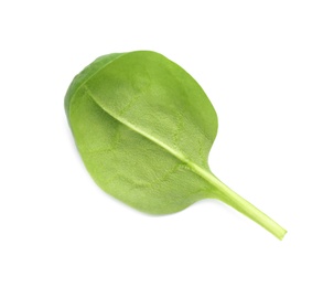 Fresh leaf of spinach isolated on white, top view