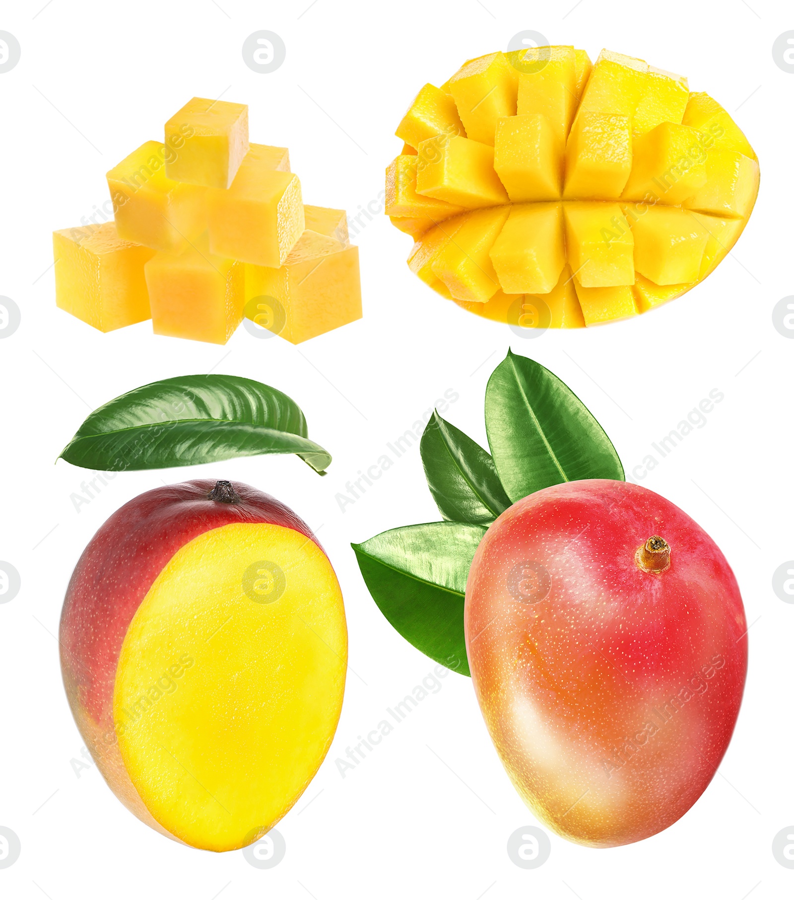 Set with delicious ripe mangos on white background Image of Set with delicious ripe mangos on white background