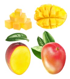 Image of Set with delicious ripe mangos on white background