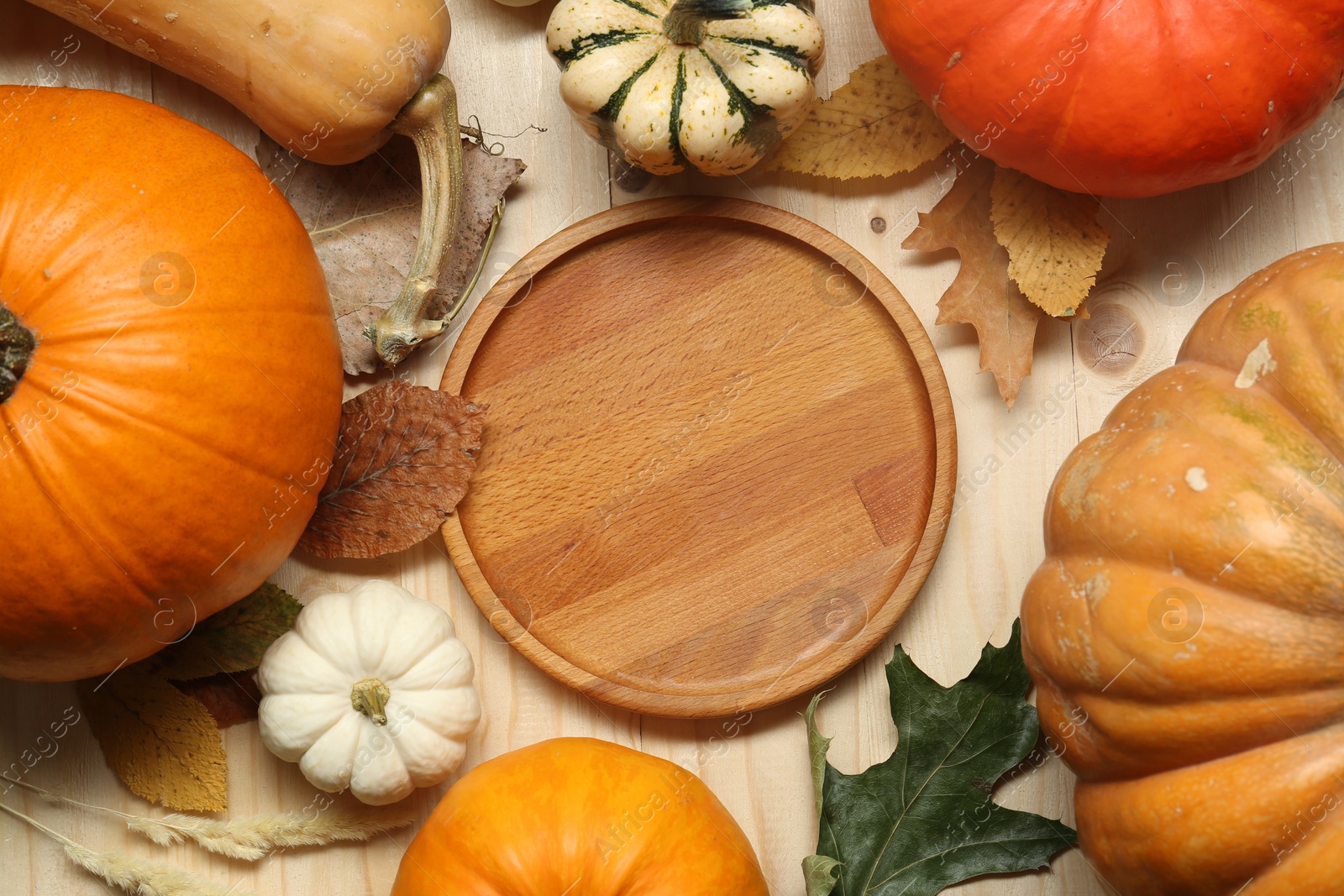 Photo of Thanksgiving day. Flat lay composition with pumpkins, leaves and round board on light wooden table, space for text