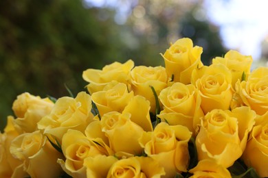 Photo of Beautiful bouquet of yellow roses outdoors, closeup