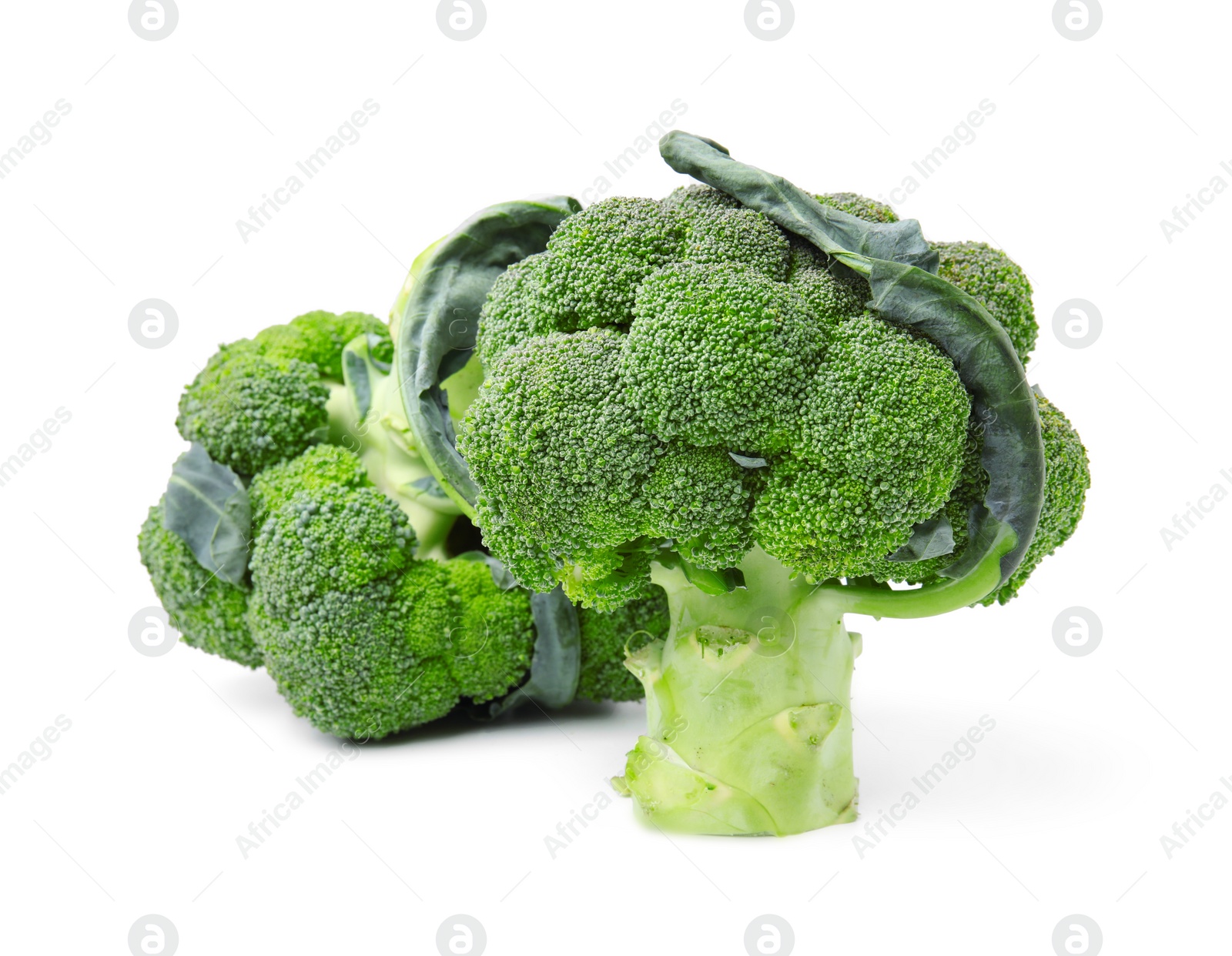 Photo of Fresh raw green broccoli isolated on white