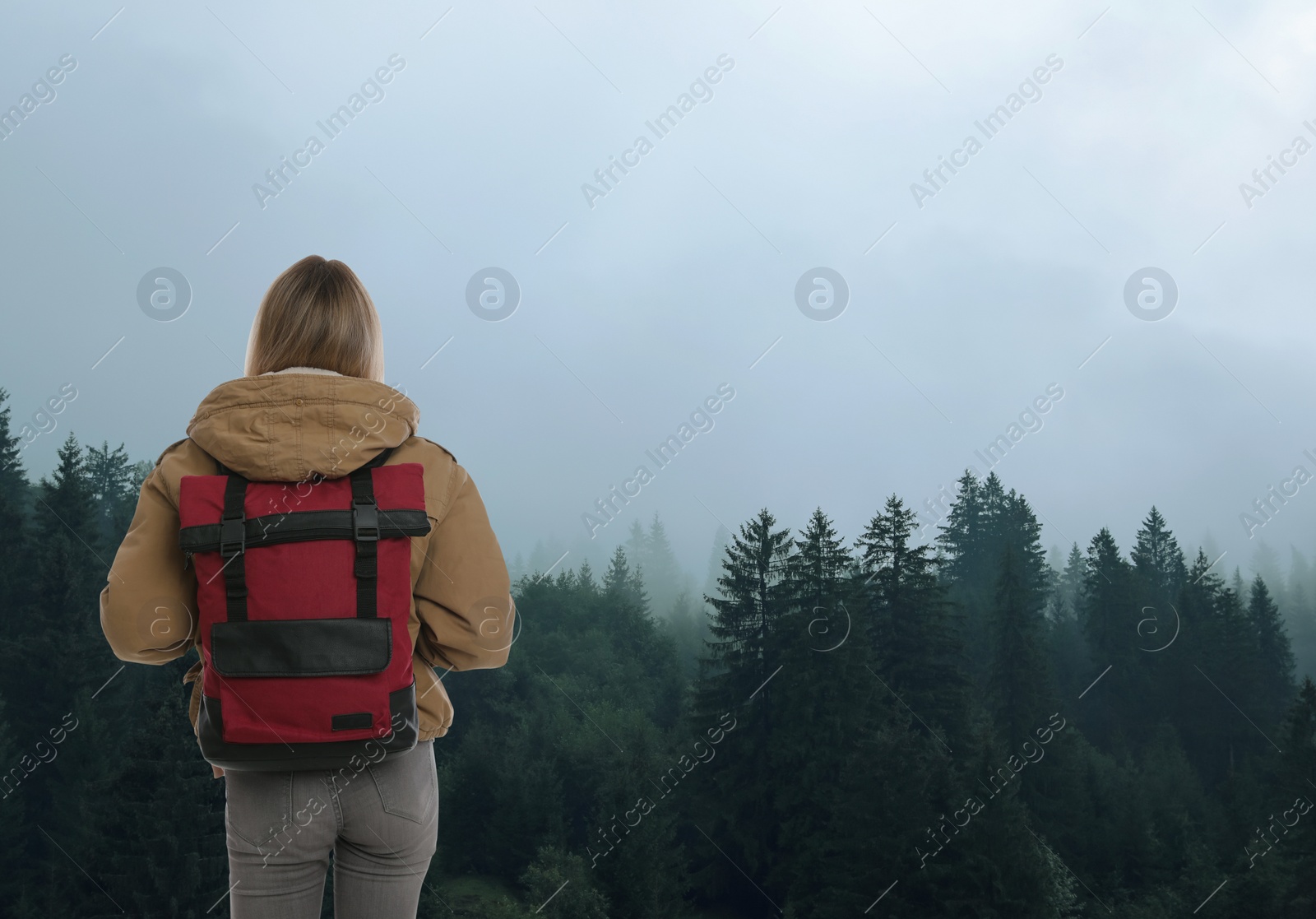 Image of Tourist with travel backpack enjoying foggy mountain forest during vacation trip
