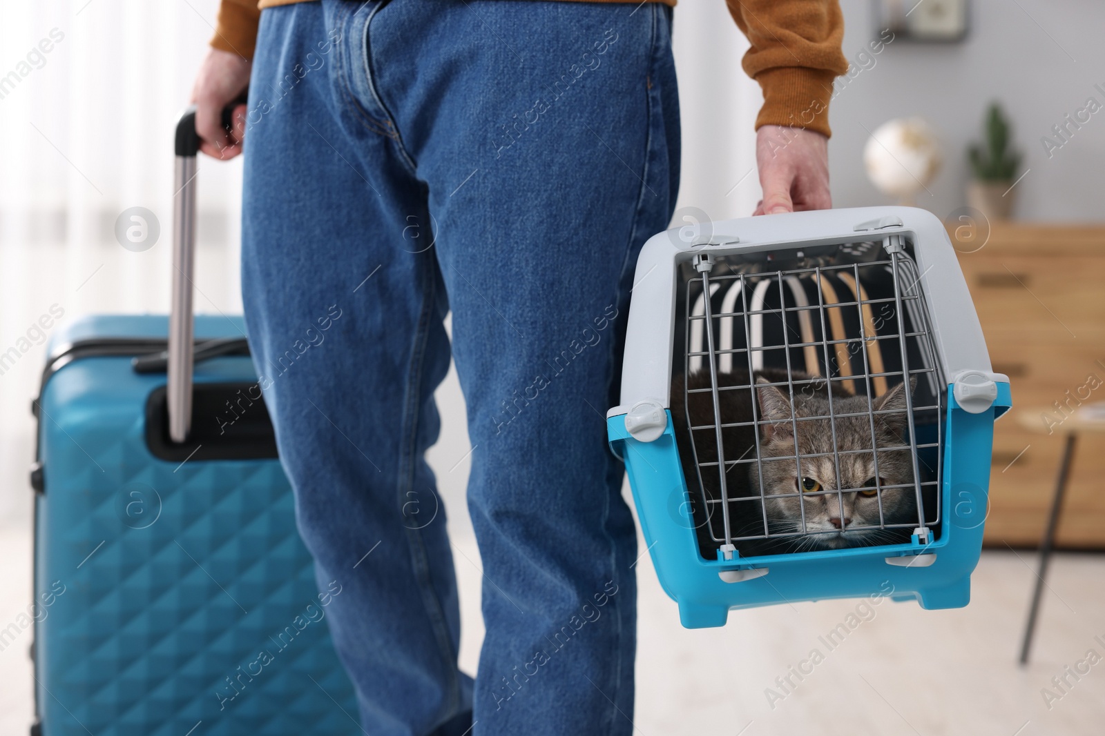 Photo of Travel with pet. Man holding carrier with cute cat and suitcase at home, closeup