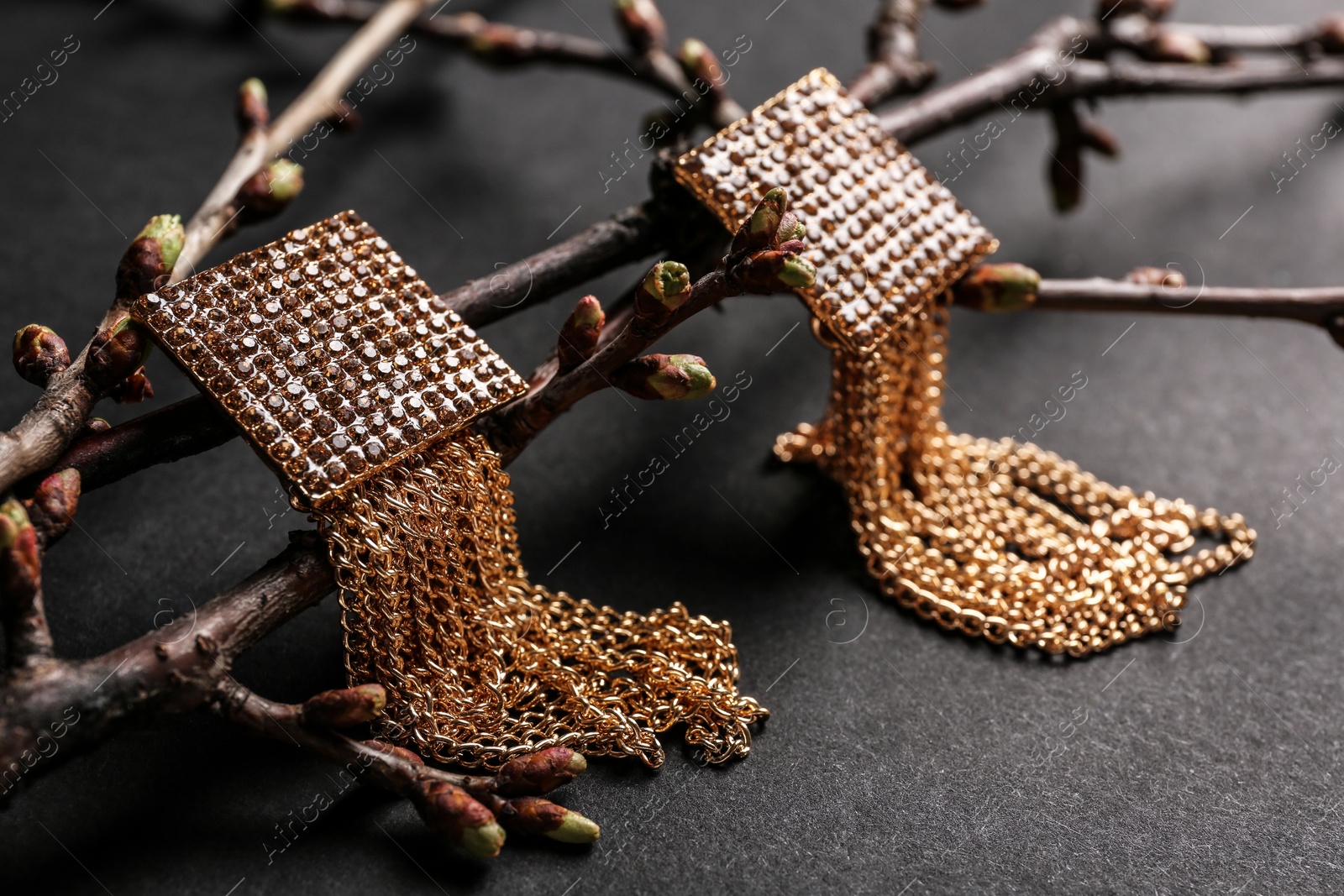 Photo of Branches with beautiful earrings on black background. Luxury jewelry