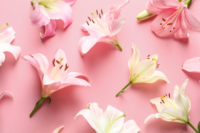 Photo of Flat lay composition with beautiful blooming lily flowers on color background