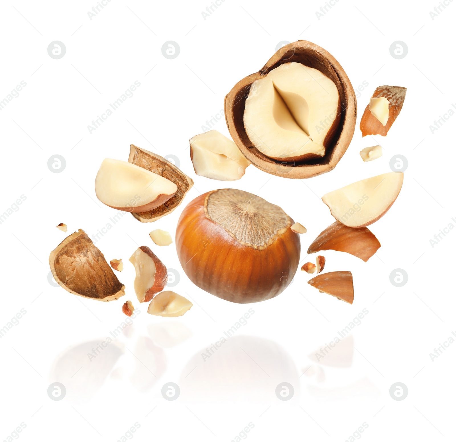 Pieces of tasty hazelnuts falling on white background Image of Pieces of tasty hazelnuts falling on white background
