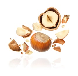 Image of Pieces of tasty hazelnuts falling on white background