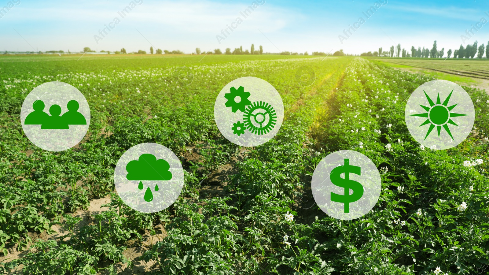 Image of Modern agriculture concept. Icons and field on background