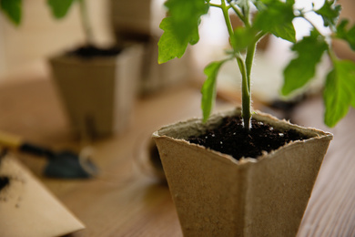 Photo of Green tomato seedling in peat pot on table, closeup