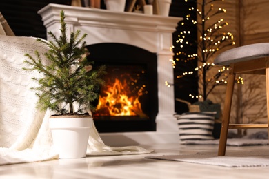 Photo of Beautiful room interior with potted fir tree and fireplace