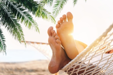 Image of Man relaxing in hammock under green palm leaves on beach, closeup view