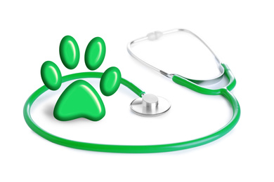 Image of Stethoscope and animal paw on white background