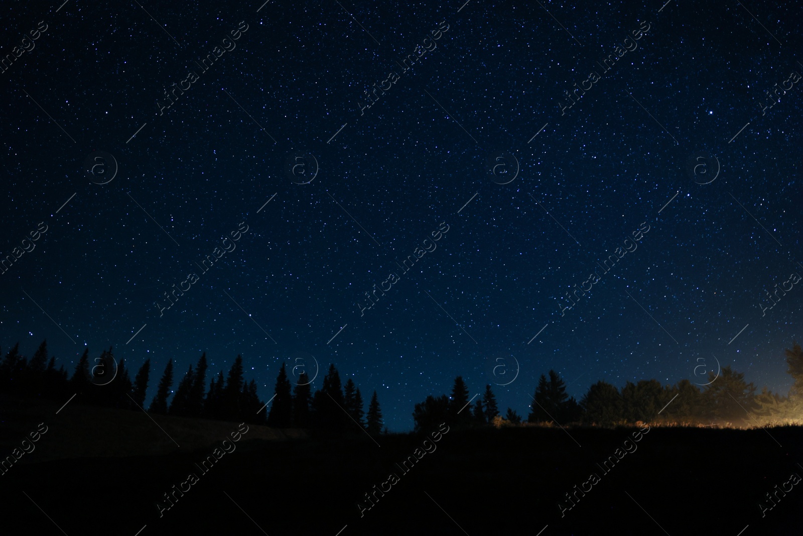 Photo of Beautiful view of dark forest under starry sky at night