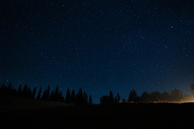 Photo of Beautiful view of dark forest under starry sky at night