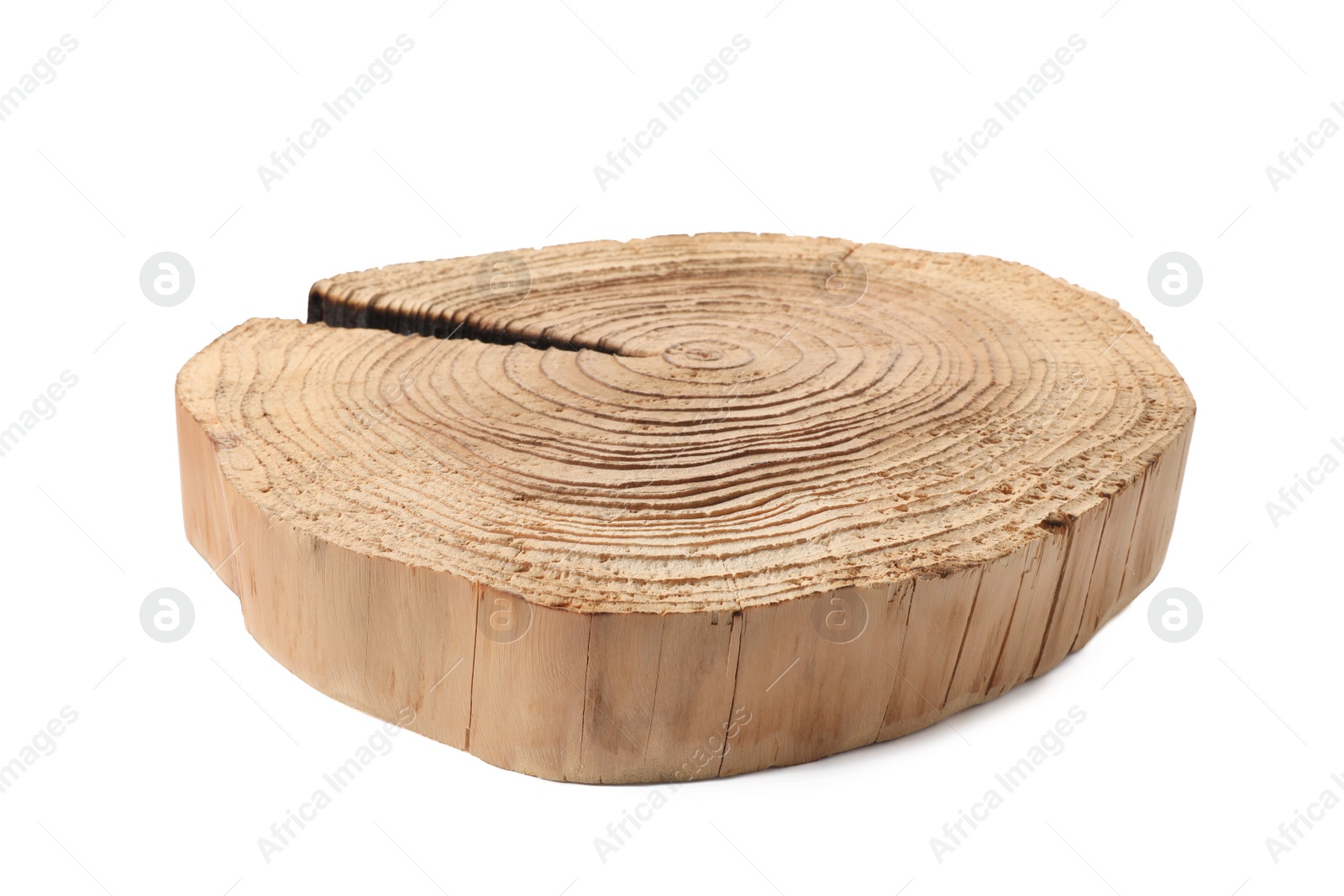 Photo of Cracked tree stump as decorative stand isolated on white