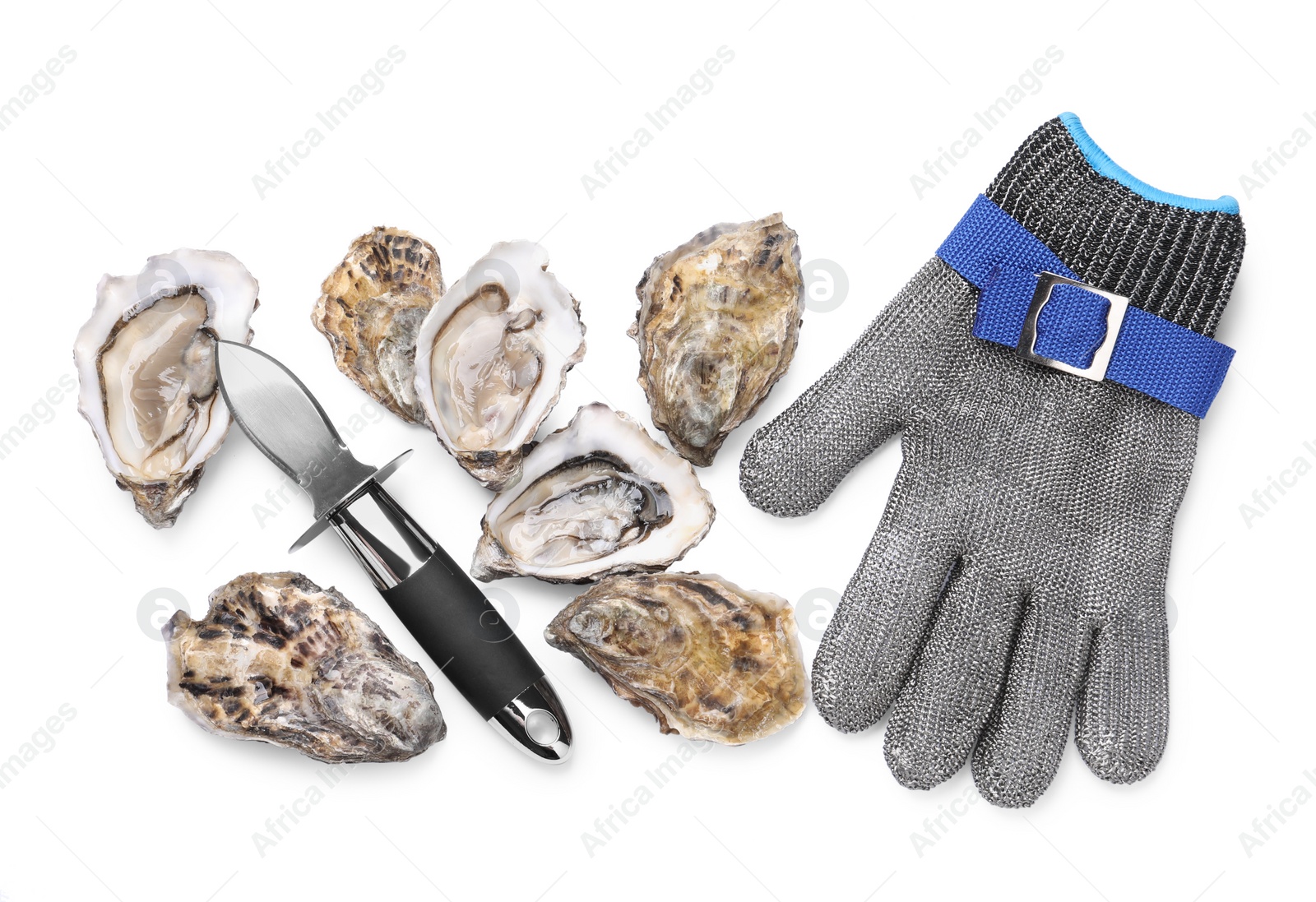 Photo of Fresh raw oysters, knife and chainmail glove on white background, top view