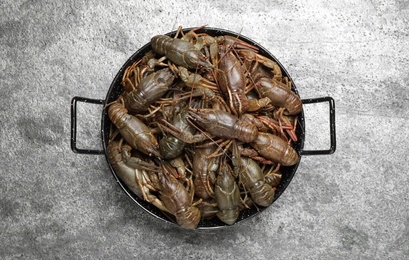 Photo of Fresh raw crayfishes on grey table, top view