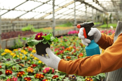 Photo of Man taking care of blooming flower in greenhouse, closeup. Home gardening