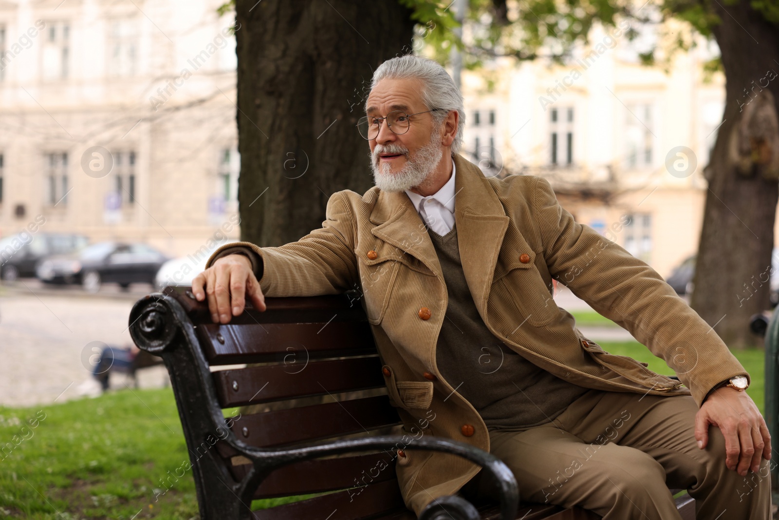 Photo of Handsome senior man sitting on bench outdoors, space for text