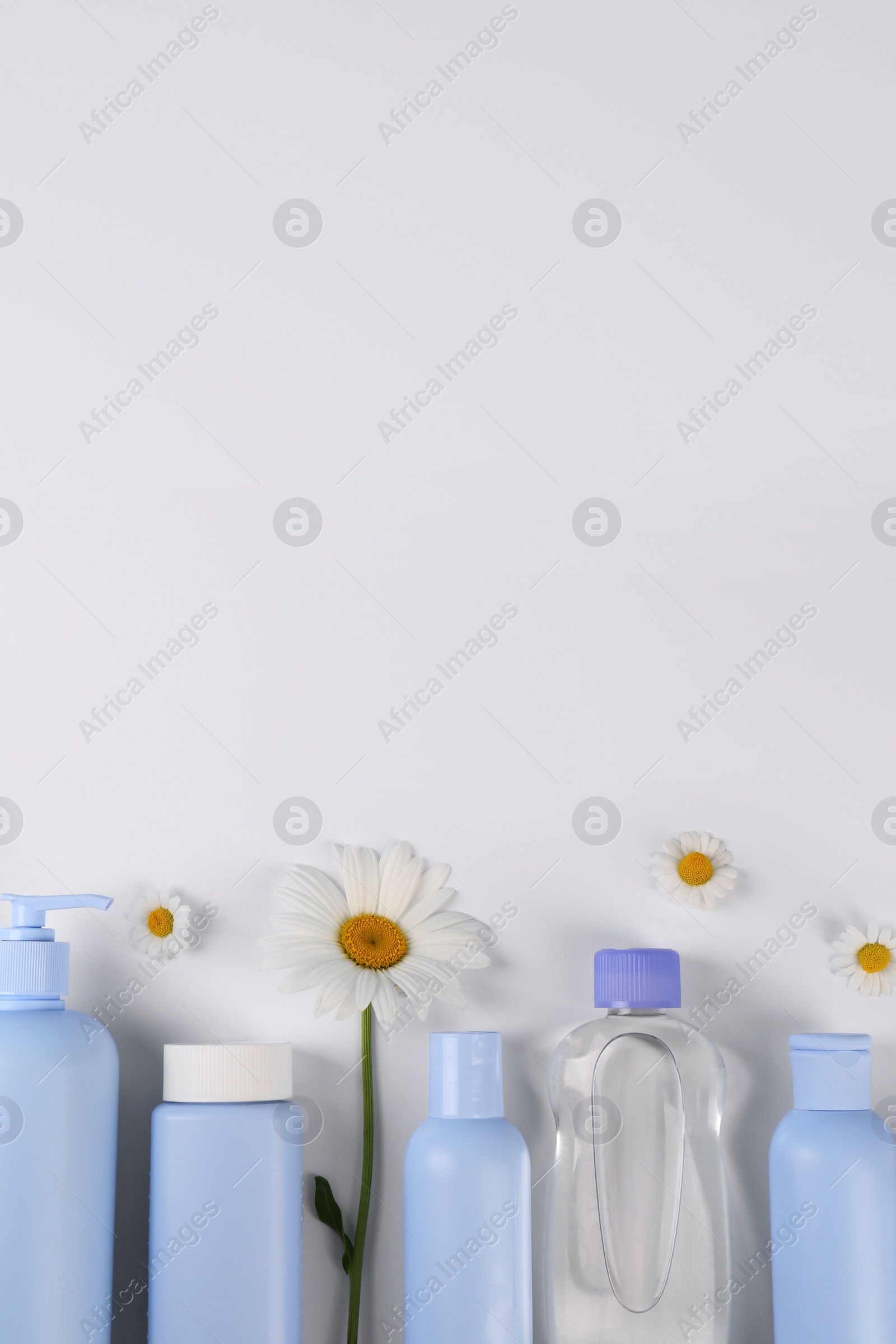 Photo of Different skin care products for baby in bottles and daisies on white background, flat lay. Space for text