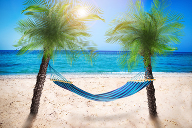 Image of Hammock between palms at sandy beach near sea on sunny day