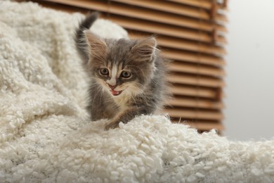 Photo of Cute fluffy kitten on white blanket indoors
