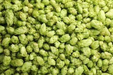 Photo of Fresh green hops as background, top view