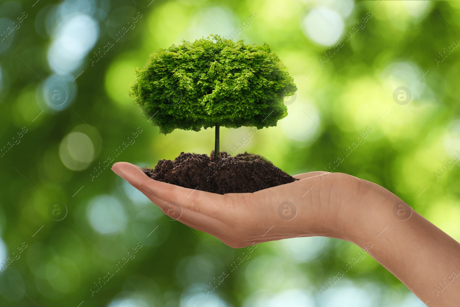 Image of Woman holding pile of soil with small tree on blurred green background, closeup. Eco friendly lifestyle 