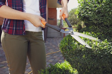 Photo of Woman trimming bush on sunny day, closeup. Gardening time