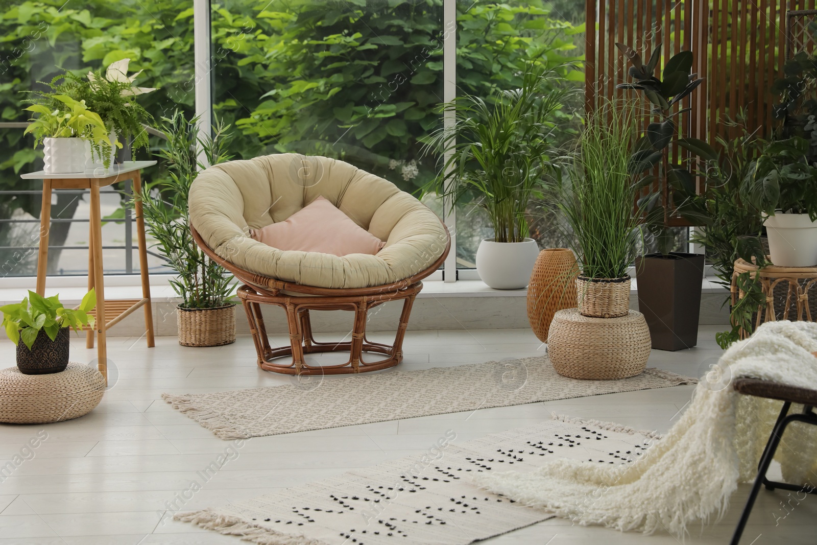 Photo of Indoor terrace interior with soft papasan chair and green plants