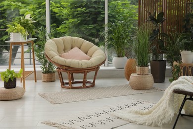 Indoor terrace interior with soft papasan chair and green plants