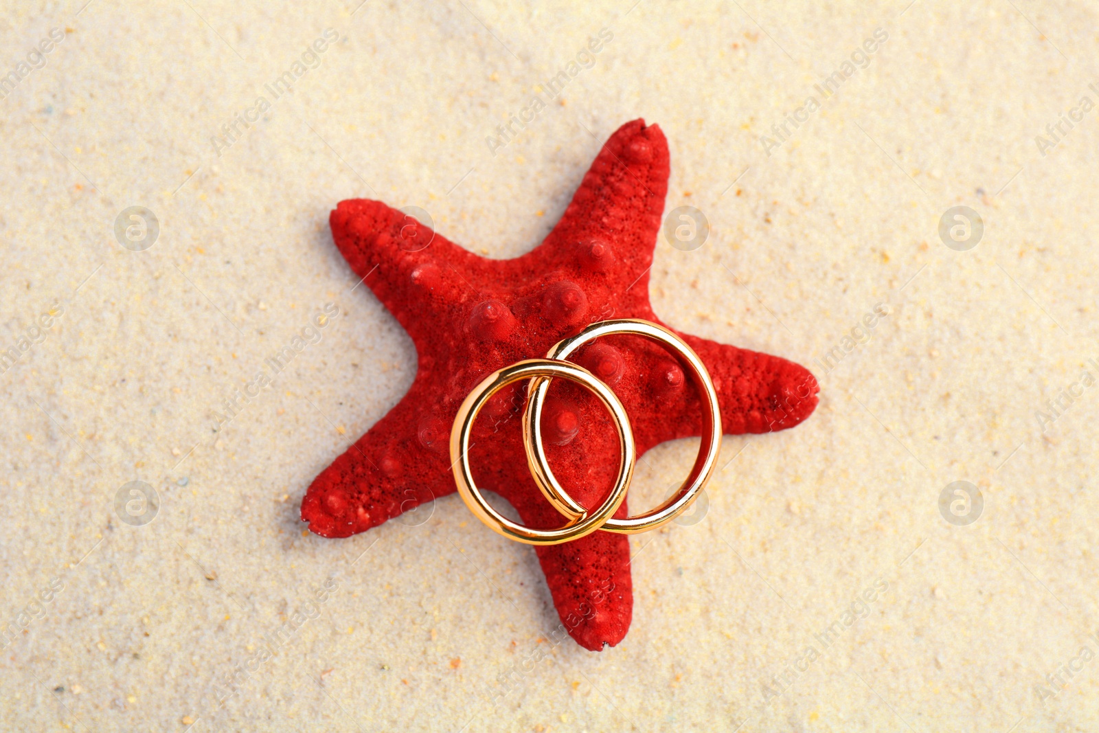 Photo of Honeymoon concept. Two golden rings and sea star on sand, top view