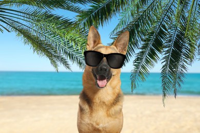 Image of Cute dog wearing sunglasses on sandy beach near sea. Summer vacation with pet