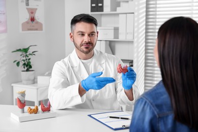 Endocrinologist showing thyroid gland model to patient at table in hospital