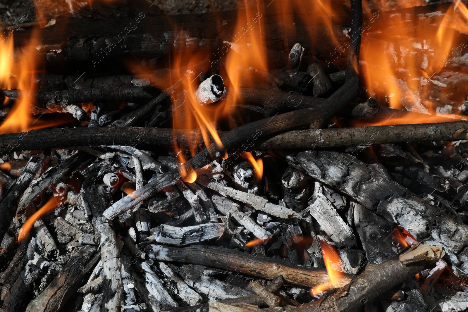 Photo of Bonfire with burning firewood and smoldering coals as background, closeup