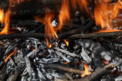 Bonfire with burning firewood and smoldering coals as background, closeup