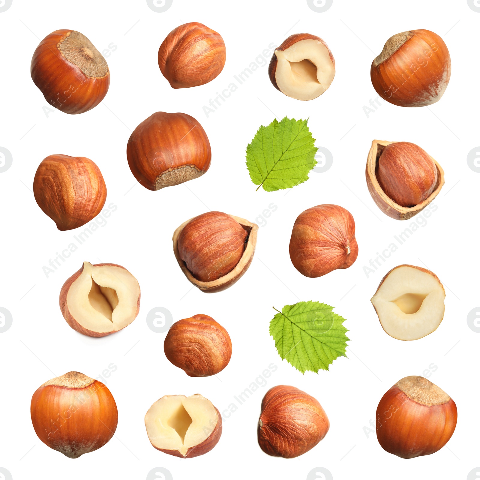 Image of Set with tasty hazelnuts on white background 