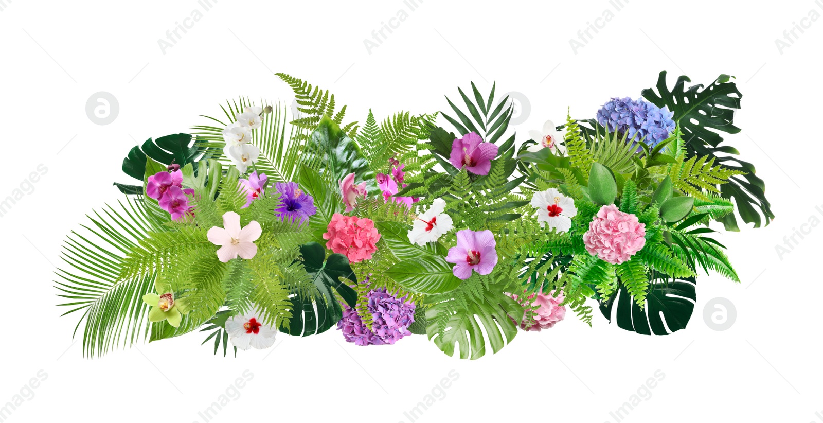 Image of Beautiful composition with tropical leaves and flowers on white background. Banner design