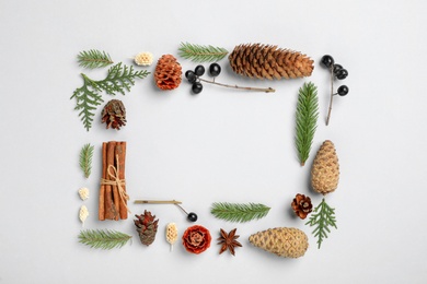 Flat lay composition with pinecones on white background. Space for text