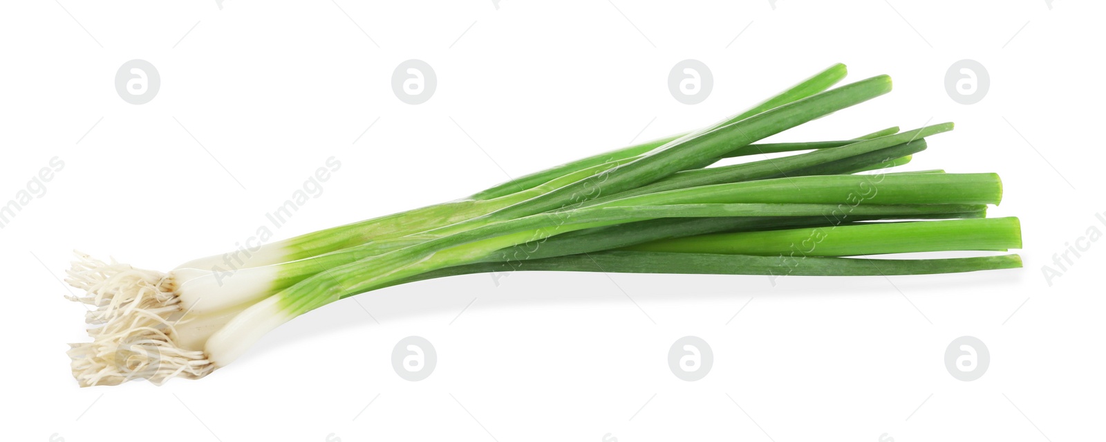 Photo of Fresh green spring onions on white background