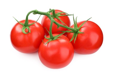 Photo of Branch of red ripe tomatoes isolated on white