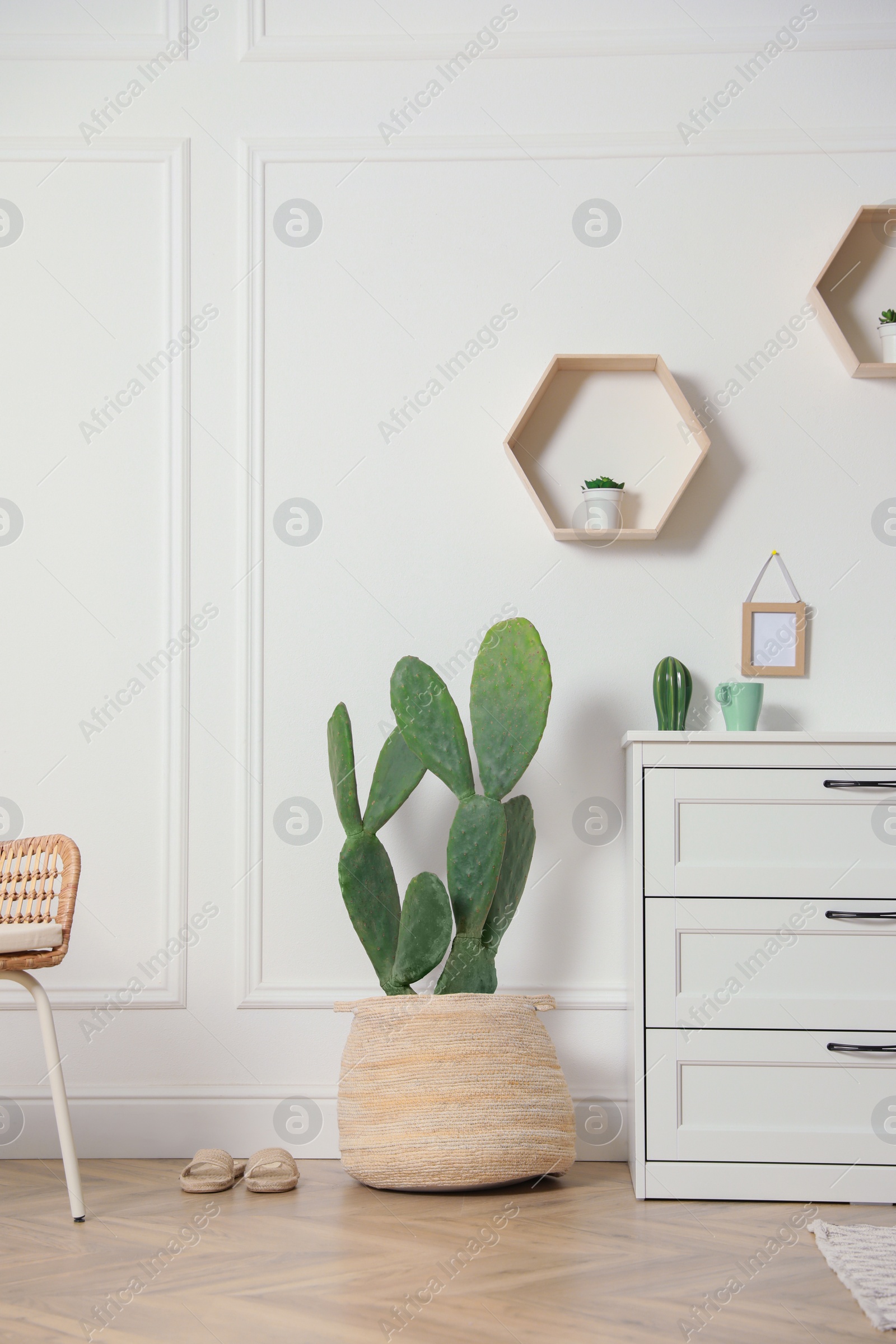 Photo of Stylish room interior with beautiful potted cactus and chest of drawers