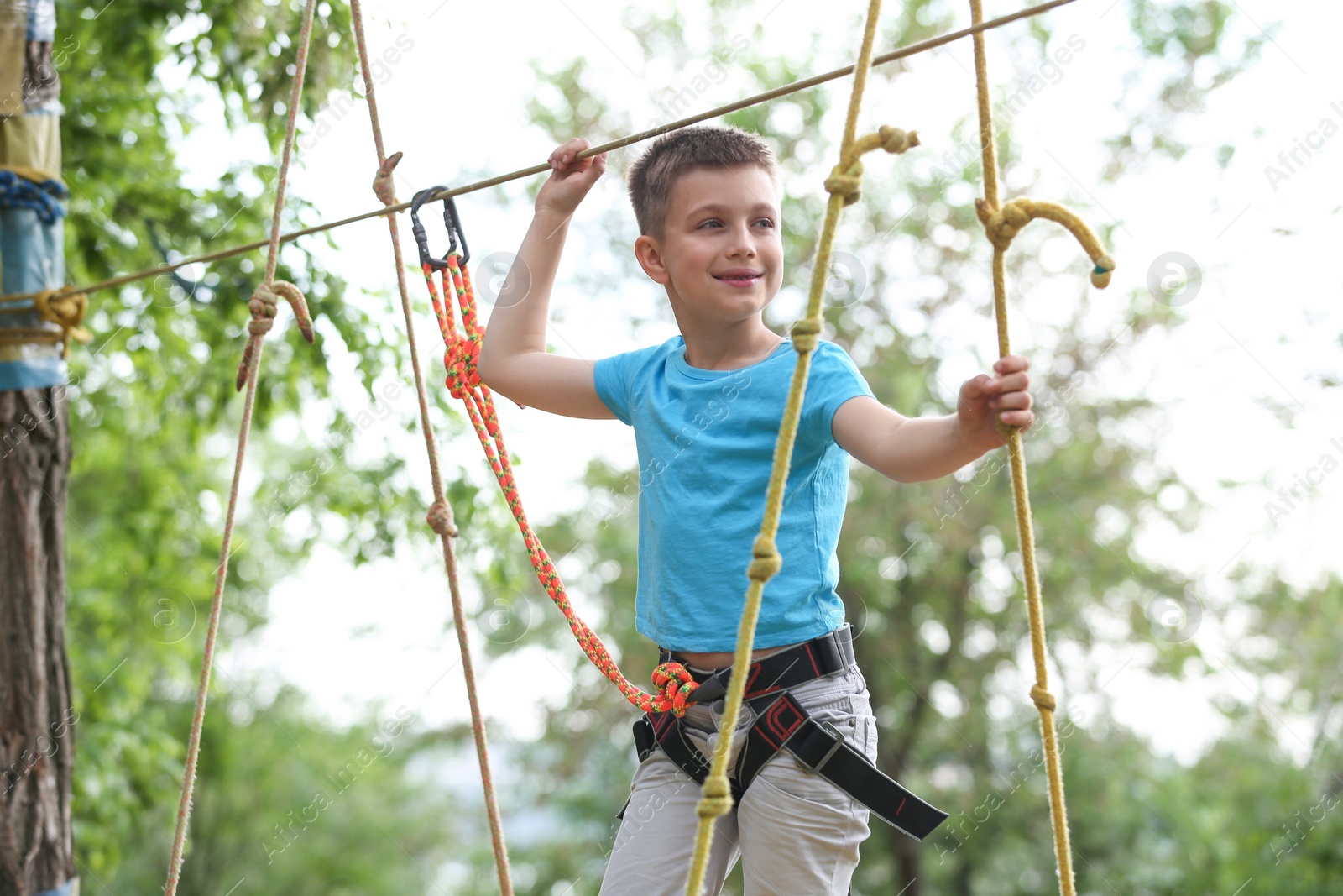 Photo of Little boy climbing in adventure park. Summer camp