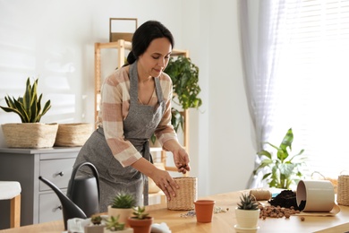 Mature woman potting plant at home. Engaging hobby