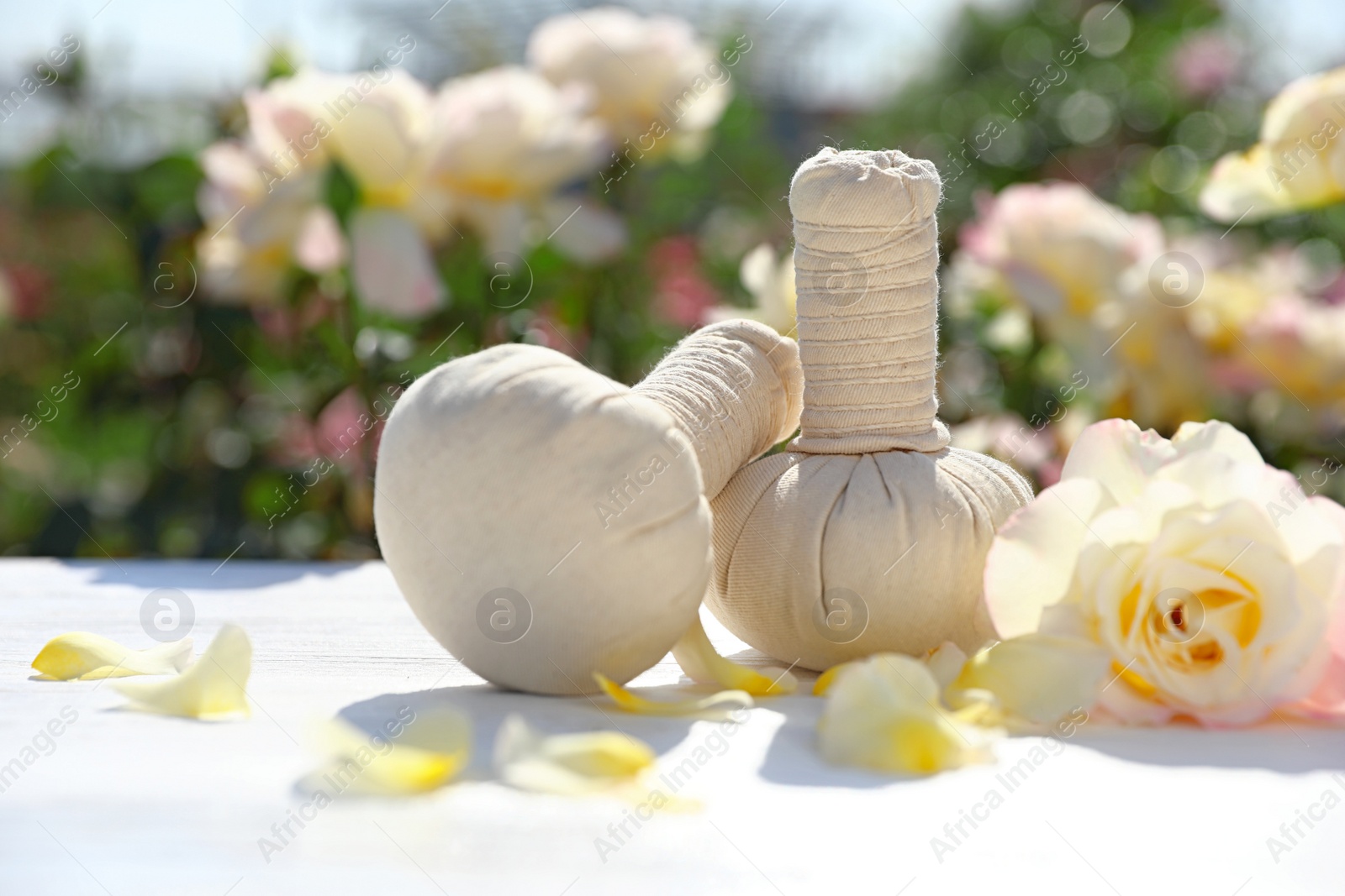 Spa massage herbal bags, rose and petals on white table in blooming garden. Harmony and zen Photo of Spa massage herbal bags, rose and petals on white table in blooming garden. Harmony and zen