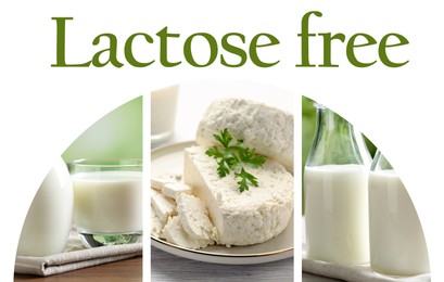 Image of Collage with photos of lactose free dairy products on white background