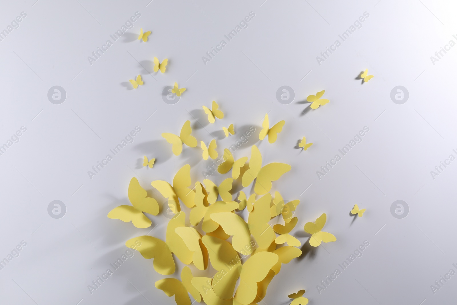 Photo of Yellow paper butterflies on white background, top view